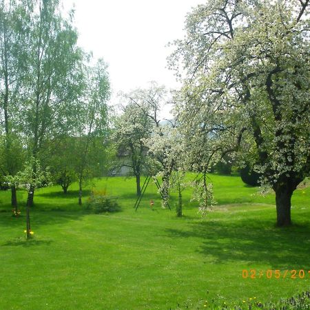 Entre Thur Et Montagne Bed & Breakfast Willer-sur-Thur Luaran gambar