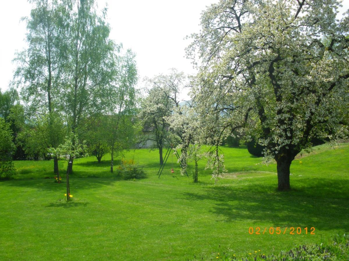 Entre Thur Et Montagne Bed & Breakfast Willer-sur-Thur Luaran gambar